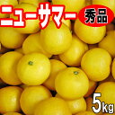 愛媛 　ニューサマー　秀品贈答用　5kg　愛媛西宇和産　送料無料　4月中旬から発送