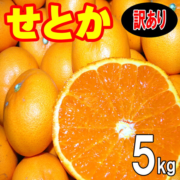 楽天市場】せとか 5kg 2lの通販 楽天市場】せとか 5kg 2lの通販