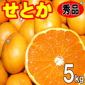 愛媛 　せとか　秀品ギフト贈答用　愛媛西宇和産　5kg　送料無料　2月中旬から発送