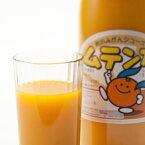 明浜みかんジュース ムテンカ720ml×6本｜あけはまシーサイドサンパーク 愛媛 西予市 明浜町 みかんジュース 柑橘丸搾り 100% 無添加 ギフト 贈り物 プレゼント のし 送料無料 愛媛百貨店【お歳暮・冬ギフト】