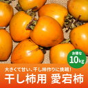 【送料無料】干し柿用 愛宕柿 10kg 多少キズあり【11月中旬以降発送】|愛媛県 西条市 丹原 渋柿 冬の風物詩 柿産地 直送 毎年大人気 期間限定 数量限定 つるし柿