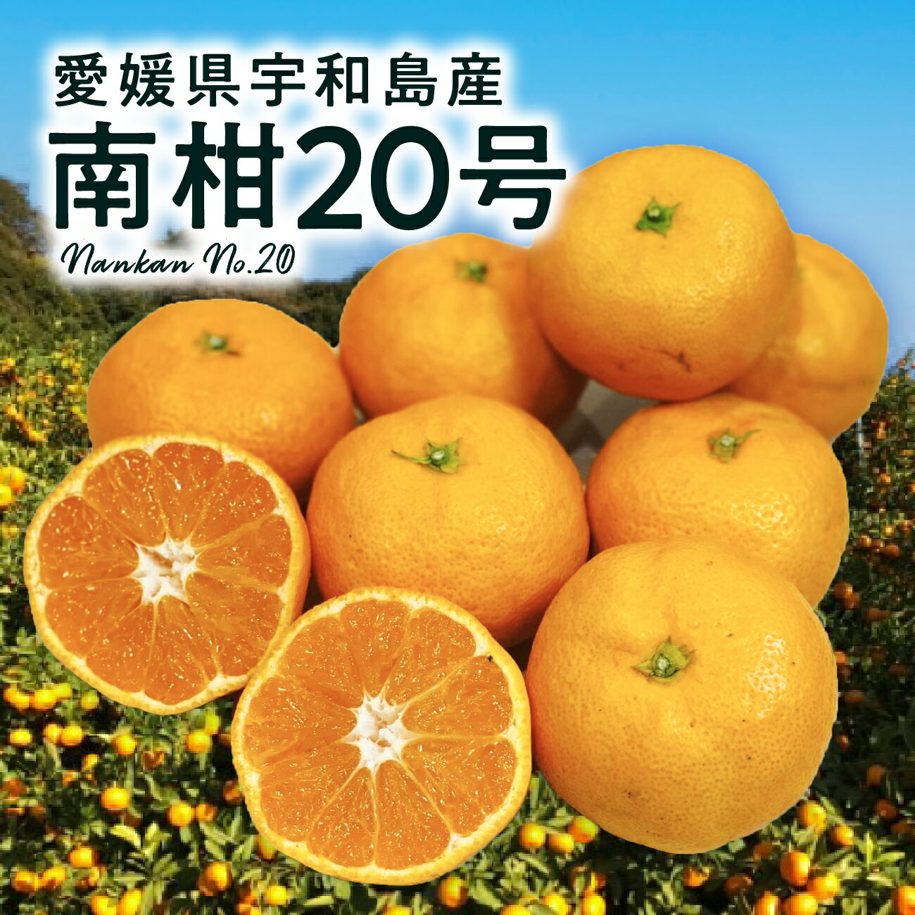 【送料無料】愛媛 宇和島産 南柑20号みかん 3kg〜10kg ご家庭用【12月初旬以降発送】｜ 愛媛みかん 温州みかん みかん 柑橘 蜜柑 ミカン フルーツ 3kg 5kg 10kg 果物 愛媛県 大きさお任せ ご自宅用 訳あり 期間限定 ギフト 【お歳暮・冬ギフト】