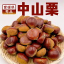 愛媛県産 中山栗 秀品 2L~3Lサイズ |約3kg 約10kg 【9月下旬から発送】|愛媛県 中山 栗 くり クリ 和栗 大粒 渋皮煮 お取り寄せ 果物 フルーツ 期間限定 ギフト 贈答用 贈り物 プレゼント 送料無料