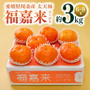 【送料無料】福嘉来 ふくがき 3kg(6〜9玉入り)【11月中旬以降発送】|愛媛県 周桑産 太平柿 渋柿 干し柿 秀品 3kg 贈答用 フルーツ くだもの 期間限定 贈答用 ギフト プレゼント