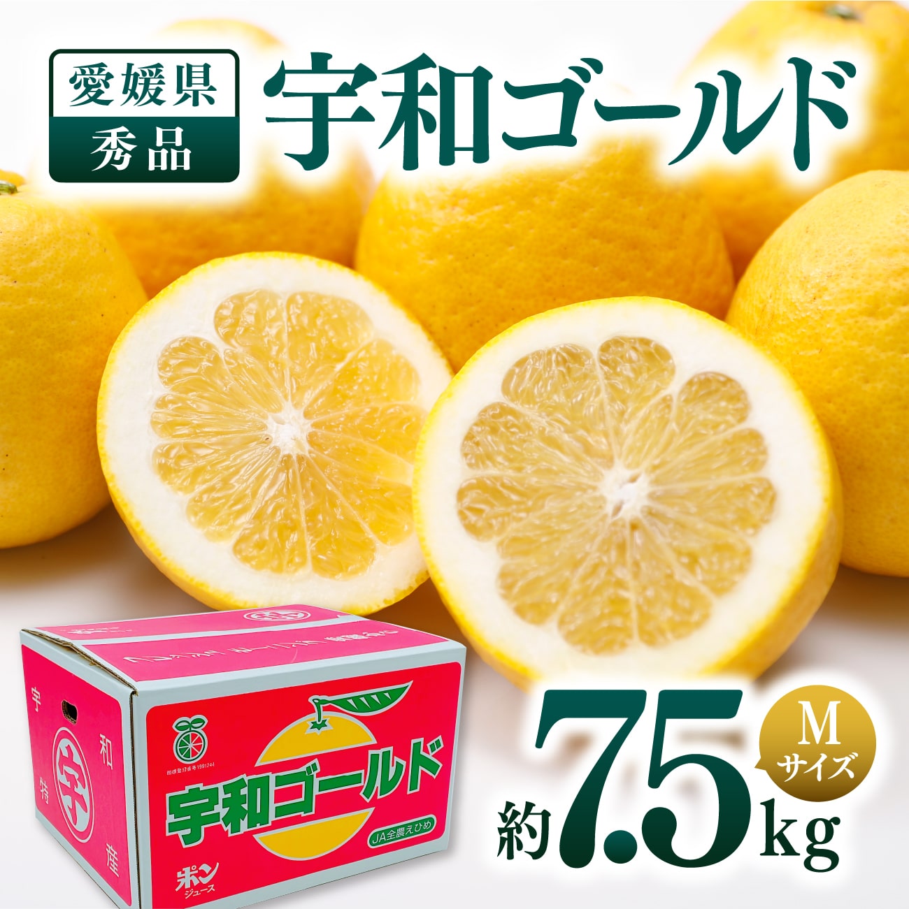 宇和ゴールド 約7.5kg 秀品 Mサイズ（24〜26玉）【4月末から順次発送】｜愛媛県産 宇和 JAえひめ南 愛媛みかん 河内晩柑 M 贈答用 フルーツ くだもの 期間限定 贈答用 ギフト 贈り物 プレゼント 送料無料のサムネイル