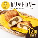 【送料無料】カリットカリー 12個詰合せ（じゃこ天・瀬戸内レモン香るチーズ・甘とろ豚）｜ 別子飴本舗 愛媛 カレー パン カレーパン じゃこ天 レモン 甘とろ豚 グランプリ 金賞 愛媛みやげ ギフト 贈り物 プレゼント 母の日 父の日 【お歳暮・冬ギフト】