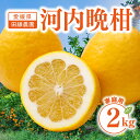 愛媛県産 河内晩柑 2kg 