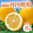 愛媛県産 河内晩柑 8kg 家庭用【4月中旬から発送】 | 田縁農園 愛媛みかん 蜜柑 ミカン 河内晩柑 M L 2L 3L 8kg 産地直送 フルーツ くだも...