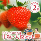 【 送料無料 】新鮮朝採り 宇和いちご 中粒・大粒セット【4/1〜発送】｜かんちゃん農園 かおりの 愛媛 宇和町 中粒いちご 大粒いちご 苺 名産品 ギフト 贈り物 プレゼント スイーツ 御祝い 産直 母の日