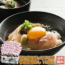 宇和島鯛めし10食|秀長水産 愛媛 宇和島 宇和海 真鯛 鯛めし 刺身 ぶっかけ ギフト 贈り物 プレゼント 絶品グルメ 送料無料 おめで鯛 ..