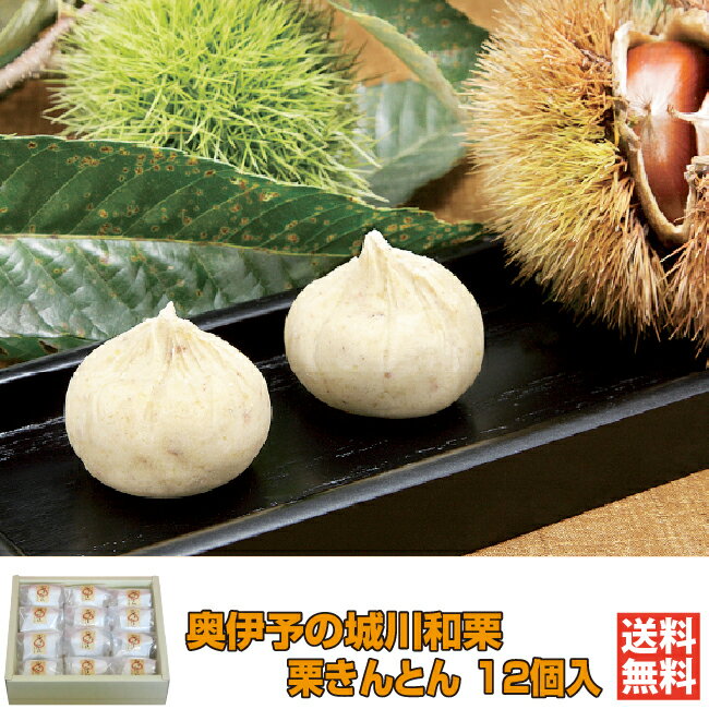 栗きんとん12個入|奥伊予の城川和栗 |城川ファクトリー【愛媛 西予 城川町 和栗 和スイーツ 無添加 手作り 上質銀寄 天然素材 ギフト 贈り物 プレゼント ...