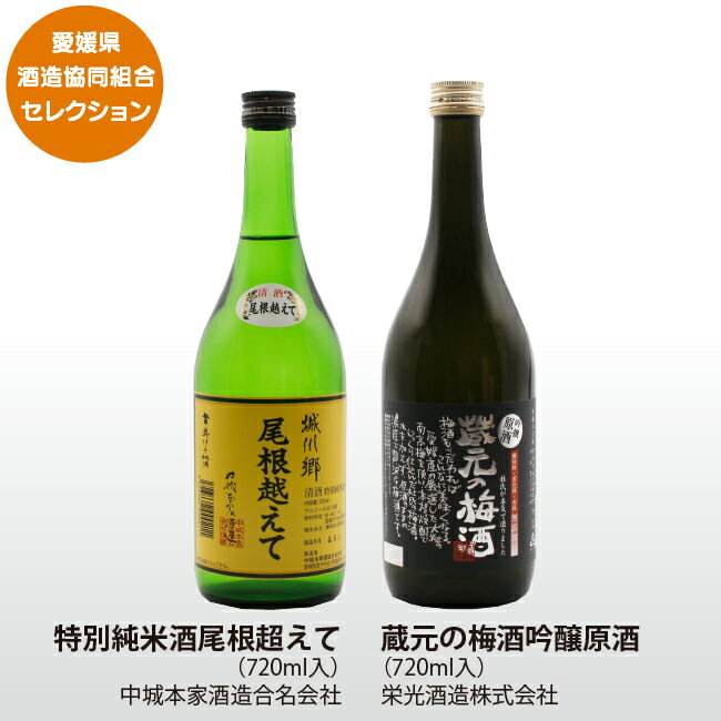 中城・栄光飲み比べセット｜特別純米酒尾根超えて＆蔵元の梅酒吟醸原酒｜愛媛県酒造組合｜ギフト プレゼント 贈答 父の日 母の日 日本酒 リキュール 純米吟醸 梅酒 贈り物 成人式 祝成人 愛媛…