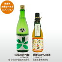 みかんのお酒 桜うづまき・近藤飲み比べセット｜桜風純米吟醸＆愛媛みかんde酒｜愛媛県酒造組合｜ギフト プレゼント 贈答 父の日 母の日 日本酒 リキュール 純米吟醸 みかん 柑橘 贈り物 成人式 祝成人 愛媛百貨店【お歳暮・冬ギフト】