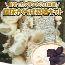 菌床きくらげ栽培キット 2.5kg 【5月20日〜出荷予定】|マドンナ達のきのこ園 愛媛 砥部町 広田 キクラゲ 栽培 菌床 キット 肉厚 キノコ 自由研究 家...