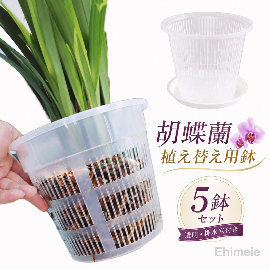 【楽天スーパーSALE】胡蝶蘭の植え替え 胡蝶蘭 植木鉢 5鉢セット 透明 排水穴付き 屋内 屋外 鉢 プラスチック 蘭の鉢 オーキッドポット 観葉植物 植木鉢 多肉植物 洋蘭 蘭鉢 プランター 保育園ポット ミニ植木鉢