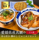 真鯛のあら炊き 鯛めし じゃこカツ セット 2人前 送料無料 愛媛県産 簡単調理 居酒屋さんが作ったこだわりタレ 取り寄せ 贈答 贈答品