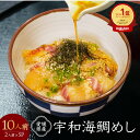 鯛めし 愛媛県産 宇和海鯛めし2人前×5パック 10人前 送料無料 鯛 たい 取り寄せ 贈答 贈答品 ギフト お中元
