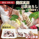 鯛 真鯛 切り身 愛媛県産養殖真鯛 (お頭付き)3枚おろし 約2kg 送料無料(北海道・沖縄を除く) 愛媛県 まだい 送料無料 取り寄せ 贈答 贈答品 ギフト