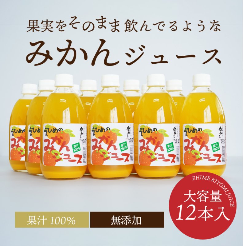 オレンジジュース ジュース えひめのみかんストレートジュース 500ml×12本セット 愛媛県産 ストレート みかん ミカン ギフト セット お中元ギフト