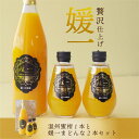 ジュース 媛一(温州みかん まどんな ) ストレート果汁100 ジュース 送料別途 愛媛 ギフト セット 引っ越し挨拶ギフト 入学卒業お祝いギフト 母の日 プレゼント 母の日ギフト