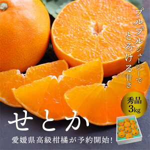 【予約商品】せとか【秀品】3kg L~3L 愛媛県産 産地直送 【送料無料(北海道・沖縄を除く)】 送料無料 ミカン 贈答 贈答品 ギフト プレゼント 高級柑橘