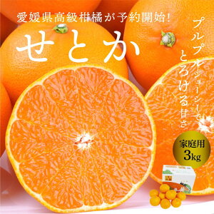 【予約商品】せとか 家庭用 良品 3kg L~4Lサイズ 送料別途 愛媛県産 産地直送 ミカン 高級柑橘