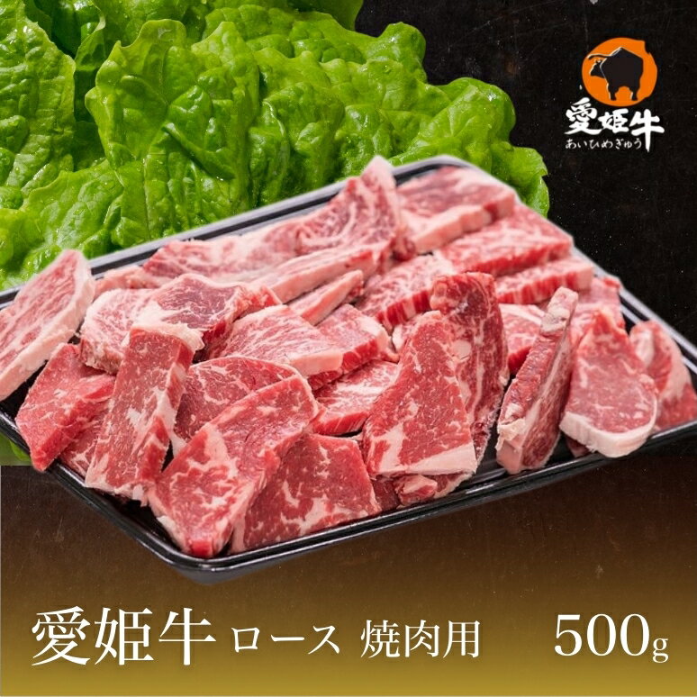 愛媛県産 愛姫牛 和牛 ギフト 愛姫牛ロース 焼肉用 500g 贈答 贈答品 ギフト プレゼント 父の日 お中元