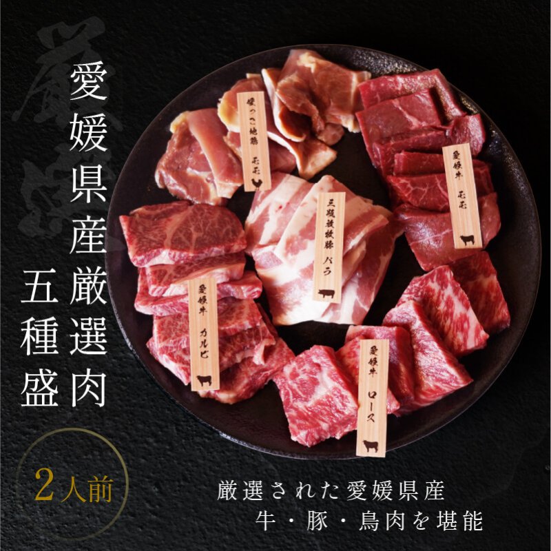 焼肉 愛媛 焼肉セット 2人前 送料無料 ギフト 愛姫牛 和牛 三瓶放牧豚 媛っこ地鶏 愛媛県産 2024 プレ..