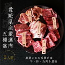 焼肉 愛媛 焼肉セット 2人前 送料無料 ギフト 愛姫牛 和牛 三瓶放牧豚 媛っこ地鶏 愛媛県産 2023 プレゼント