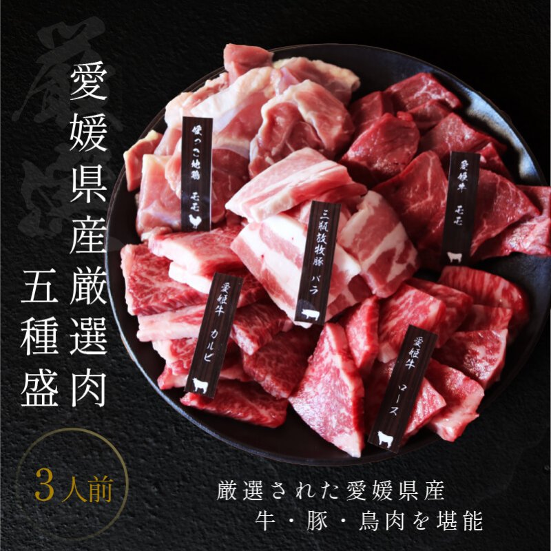 肉セット 焼肉 愛媛 焼肉セット 3人前 送料無料 ギフト 愛姫牛 和牛 三瓶放牧豚 媛っこ地鶏 愛媛県産 2024 プレゼント BBQ 父の日