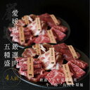 肉セット 焼肉 愛媛 焼肉セット 4人前 送料無料(北海道・沖縄を除く) 送料無料 愛姫牛 和牛 三瓶放牧豚 媛っこ地鶏 愛媛県産 2024 プレゼント BBQ 父の日