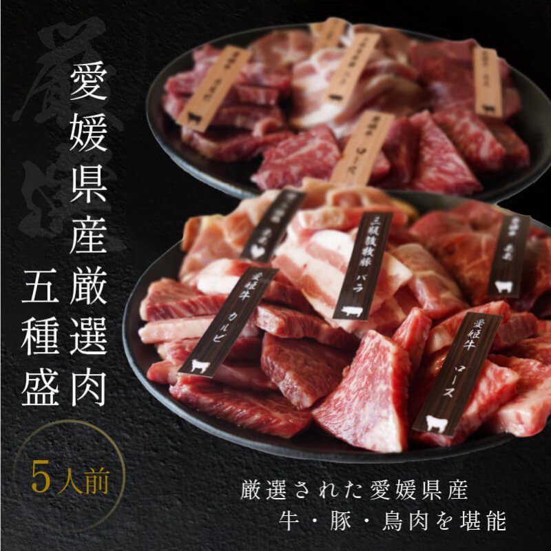 焼肉 愛媛 焼肉セット 5人前 送料無料 贈答 贈答品 愛姫牛 和牛 三瓶放牧豚 媛っこ地鶏 2024 プレゼント BBQ 父の日