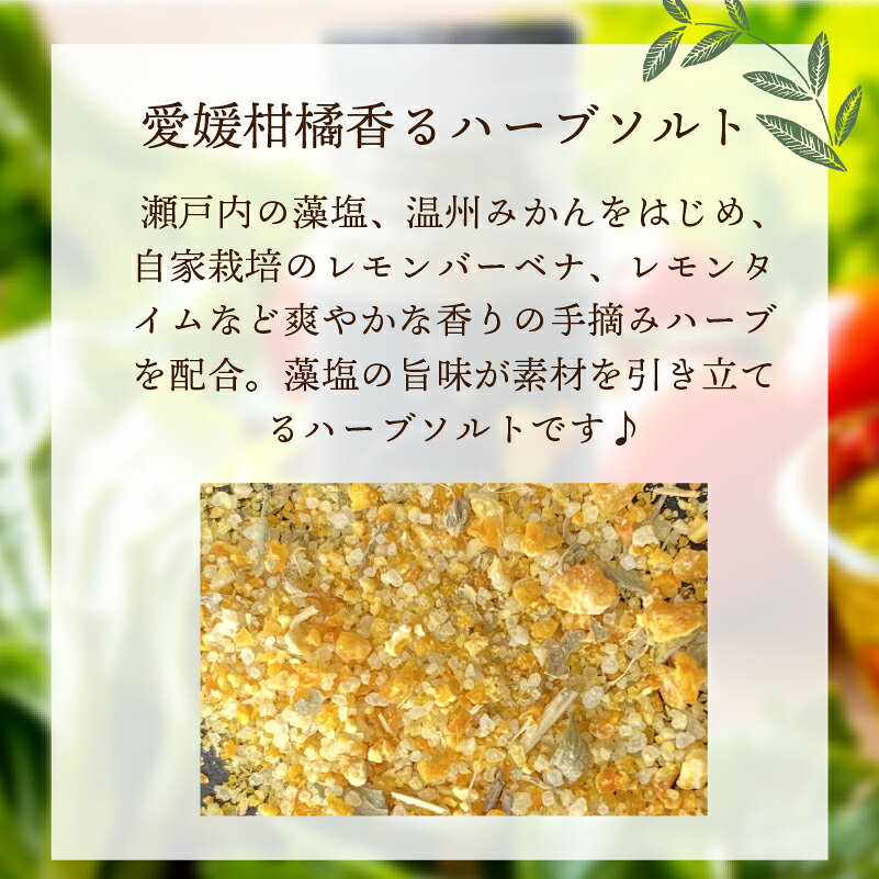 えひめ逸品のハーブソルト スパイス ハーブソルト恋歌 送料別途 藻塩 みかん 愛媛県産 肉料理 サラダ 調味料 ギフト プレゼント BBQ｜アングル2