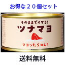 木の屋石巻水産 『 ツナマヨ 』20個セット おつまみ おにぎり 手巻き寿司