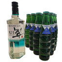 【ジントニックセット】サントリー 翆 - sui - 700ml + ウイルキンソントニックウォーター 190ml × 10本 カクテル