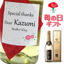 【母の日ギフト】 名入れラベル 金箔スパークリングワイン750ml