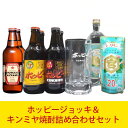 ホッピージョッキ500ml＆キンミヤ焼酎詰め合わせセット【プレゼント】