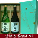 楽天ワインと地酒の店　かたやま【日本酒ギフト箱入り】 栄光酒造　「純米吟醸松山三井＆吟撰梅酒セット」　2本セットギフト箱入り【楽ギフ_包装選択】【楽ギフ_のし宛書】【楽ギフ_メッセ入力】【プレゼント】