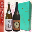 【焼酎 ギフト箱入り】 本格はだか麦焼酎 宝泉坊&愛媛芋焼酎 道後 1.8Lのみくらべセット【プレゼント】