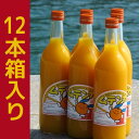 安心無添加！愛媛県明浜町の100％みかんジュース ムテンカ720ml 12本箱入り