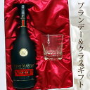 吹工房ロックグラス&レミー マルタン VSOP 700ml ギフトセット【プレゼント】