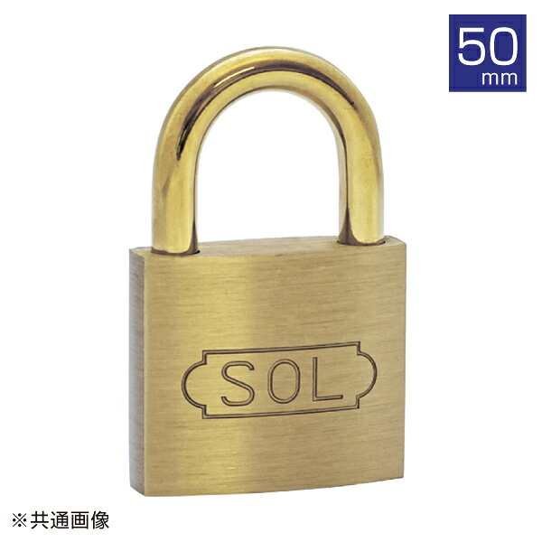 ※写真は代表画像になります。実際の商品とは異なる場合がございます。 仕様、商品名、型番をご確認の上、ご購入をお願い致します。 ※予告無く仕様変更、廃番になることがあります。 ご注文後に欠品の場合はご連絡させていただきます。 ●幅(mm)：48●B(mm)：24●ツル径(mm)：7.2●C(mm)：25.4 ●鍵3本付 人気のカテゴリ 新商品 今月の特価品 オリジナル商品 ワケあり特価品