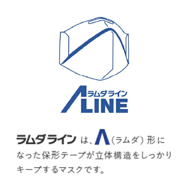 シゲマツ N95マスク 二つ折 [10個入] DD02-N95-2K 立体構造キープ ラムダライン イ...