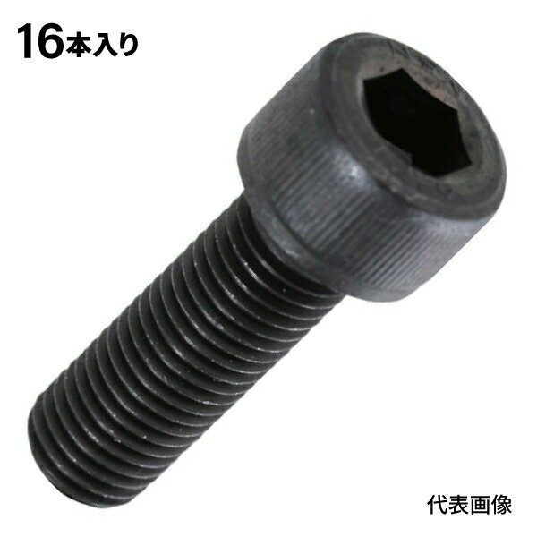 Rakuten - TRUSCO 六角穴付ボルト 細目 スチール(SCM435) 黒染メ M10×30 P1.25 16本入 B1501030P1.25 トラスコ