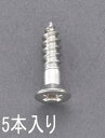 エスコ 4.8x 32mm 皿頭木ネジ(ステンレス製/ 5本) EA949ED-482 ESCO 【飛脚ゆうパケット対応】(4)