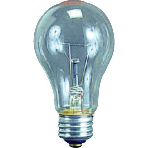 【6/1限定！ポイント3倍＋最大400円OFF】HATAYA（ハタヤ） 耐振電球100W （ILI、KL型用）