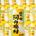 河内晩柑ジュース 125ml×30本 北海道、沖縄向けは600円追加になります 愛媛ミカン 愛媛みかん ストレート果汁100% オレンジジュース 愛媛県産 お土産 プレゼント 宇和島 八幡浜 無添加 果汁 果汁100% みかんジュース 河内晩柑