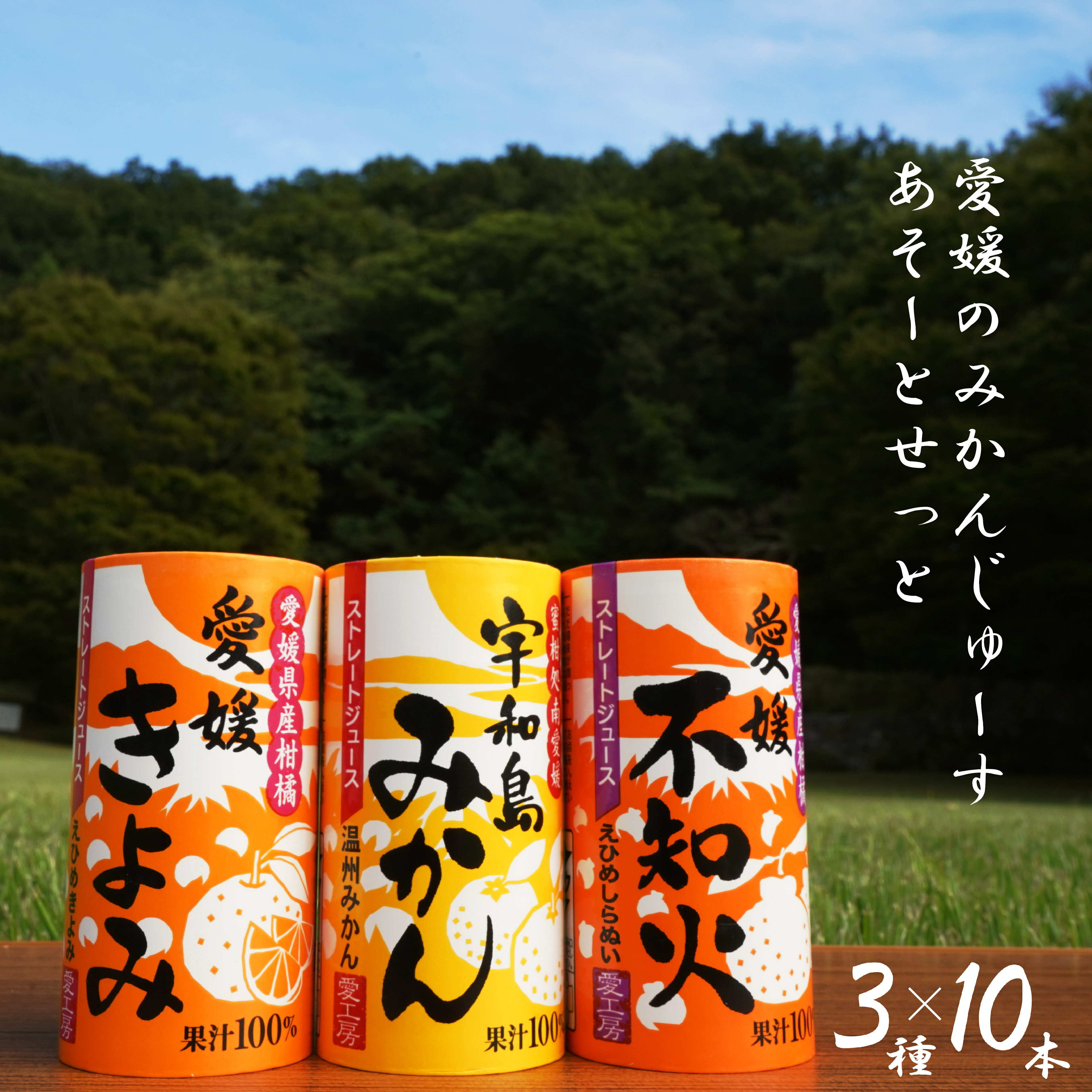 合計30本　今使えるクーポンあり　愛工房　 みかん、不知火、きよみ　×各10本　125ml×計30本 北海道、沖縄向けは600円追加になります 愛媛ミカン 愛媛みかん ストレート果汁100% オレンジジュース 愛媛県産 無添加 果汁100% 果汁100ぱーせんと みかんジュースのサムネイル