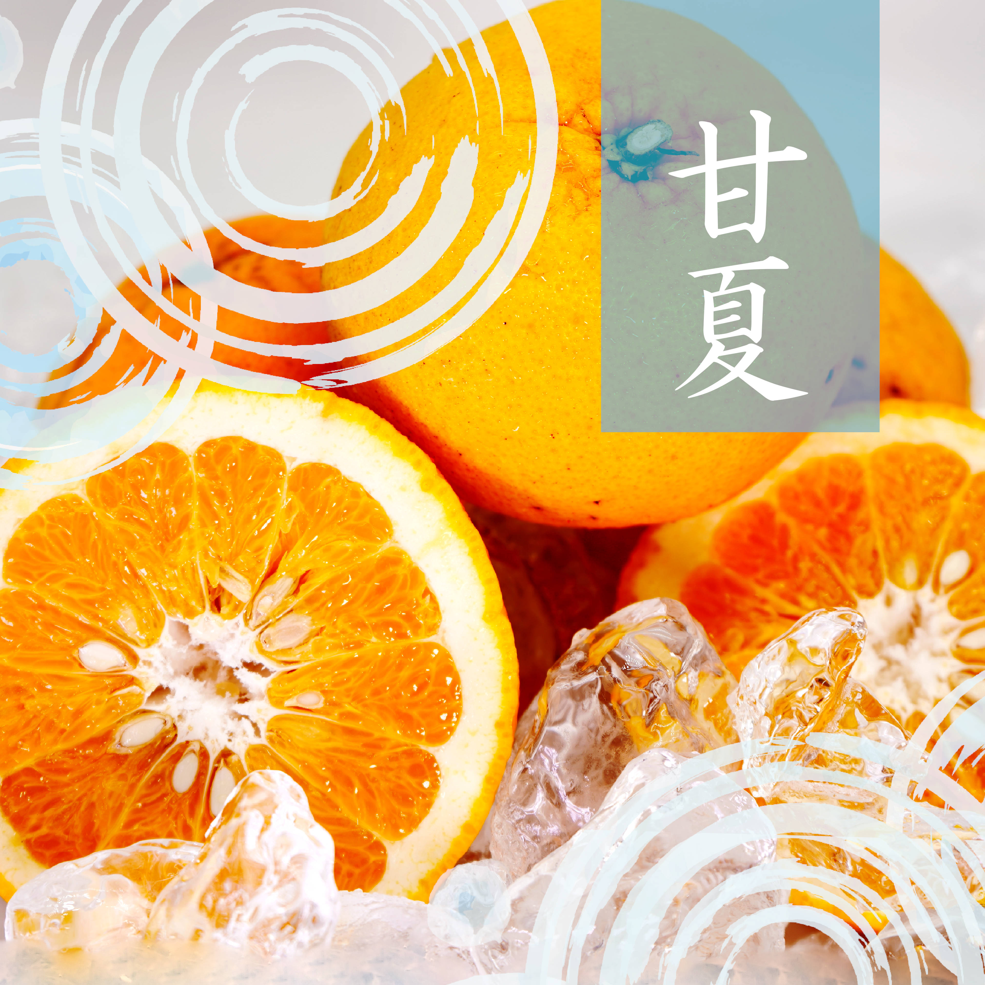 楽天市場】無農薬みかん 10kgの通販 楽天市場】無農薬みかん 10kgの通販