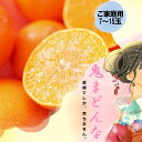 【予約受付中】家庭用 マドンナ 5kg 12月中旬より発送 紅マドンナと同品種 愛媛産 まどんな 八幡浜産 新食感 愛果28号 北海道 沖縄は700円追加